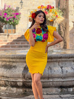 Tania Mexican Stretchable Dress