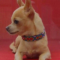 Hand Woven Dog Collar XXS for Cats and Mini Breeds - Cielito Lindo